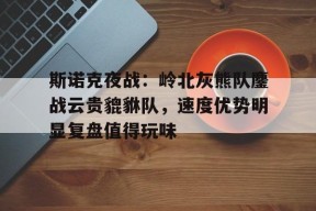 华体会体育斯诺克夜战：岭北灰熊队鏖战云贵貔貅队，速度优势明显复盘值得玩味的简单介绍